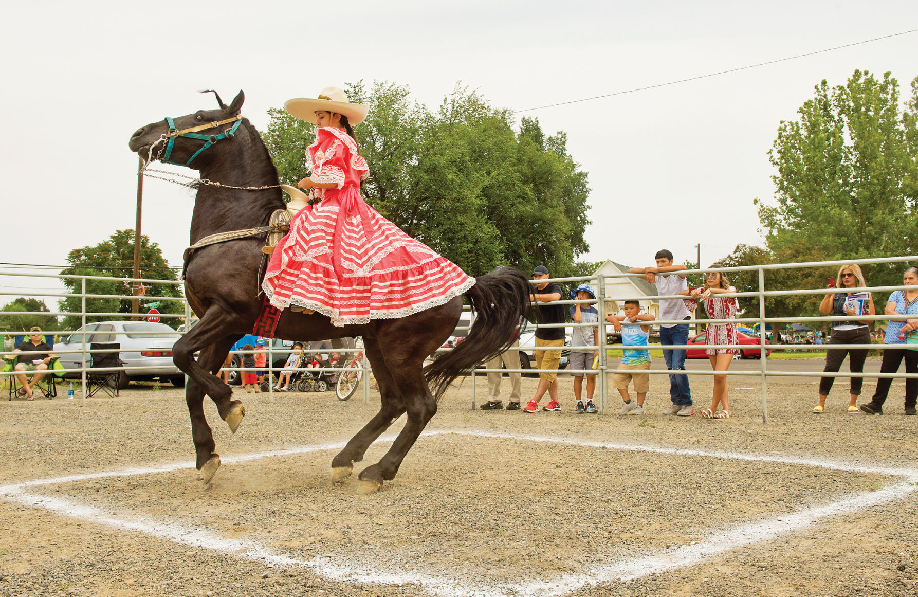Horse dancing team